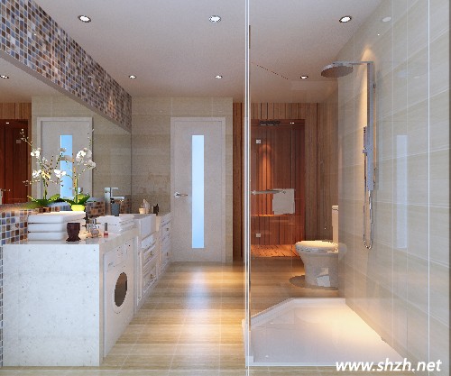 衛(wèi)生間設(shè)計(jì)