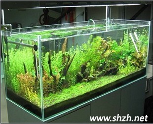 魚(yú)缸制造清涼家居